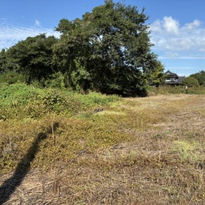 山鹿市藤井956-1他 土地240万円 宅地1342.7㎡(406.16坪) 畑680㎡(205.7坪)古屋付き 画像17 山鹿市藤井956-1他 土地240万円 宅地1342.7㎡(406.16坪) 畑680㎡(205.7坪)古屋付き 画像17