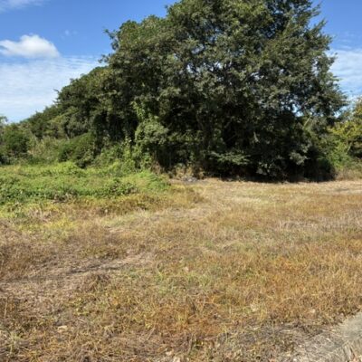 山鹿市藤井956-1他 土地240万円 宅地1342.7㎡(406.16坪) 畑680㎡(205.7坪)古屋付き 画像19 山鹿市藤井956-1他 土地240万円 宅地1342.7㎡(406.16坪) 畑680㎡(205.7坪)古屋付き 画像19